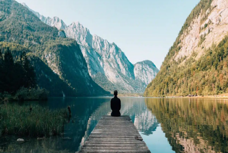 wellness